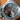 Czapek Antarctique Terre Adelie Secret Alloy caseback