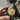 Rolex 16253 Datejust Turn-O-Graph Thunderbird